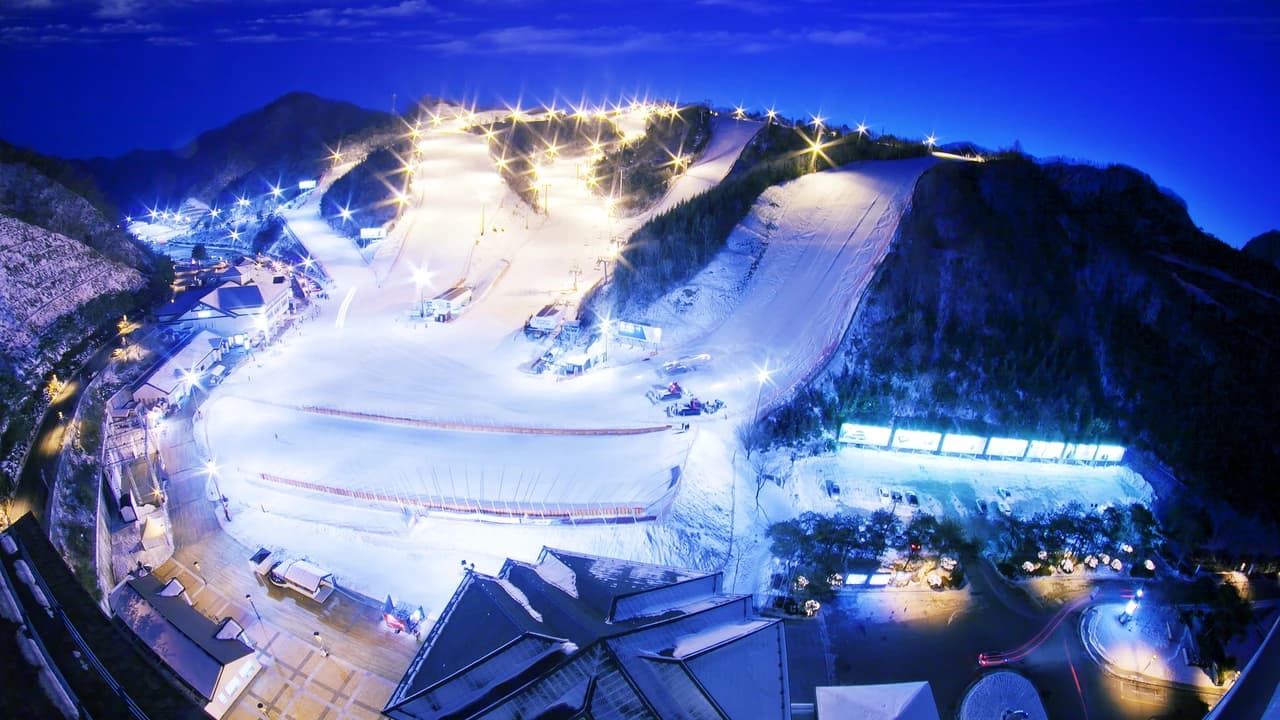 Elysian Gangchon Ski Resort and Nami Island Full-Day Tour from Seoul - image 8