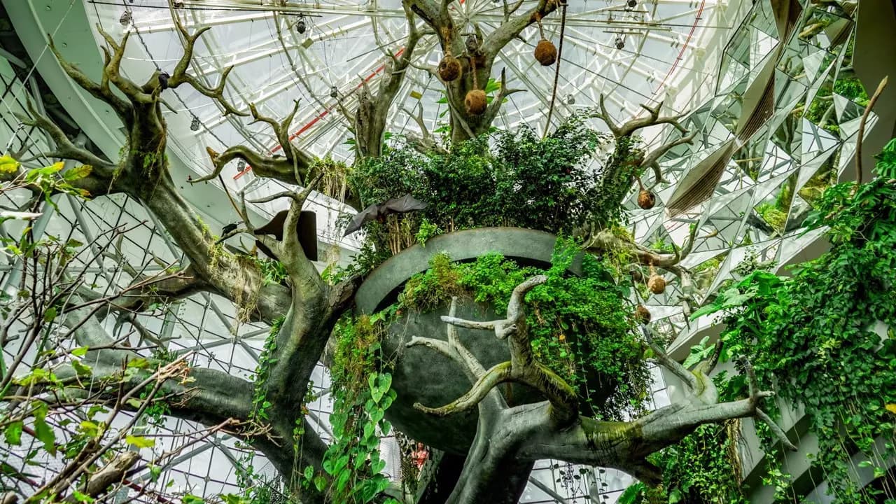 The Green Planet - Photo 5