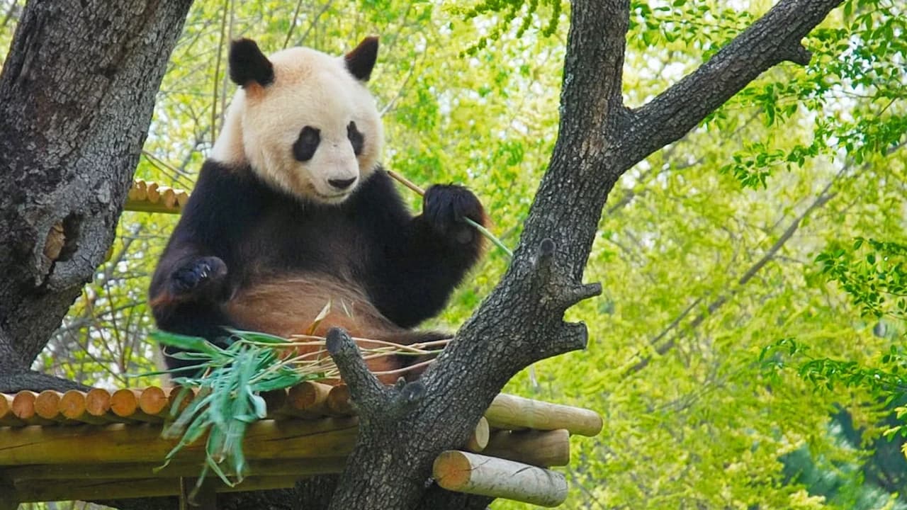 Zoo Aquarium Madrid