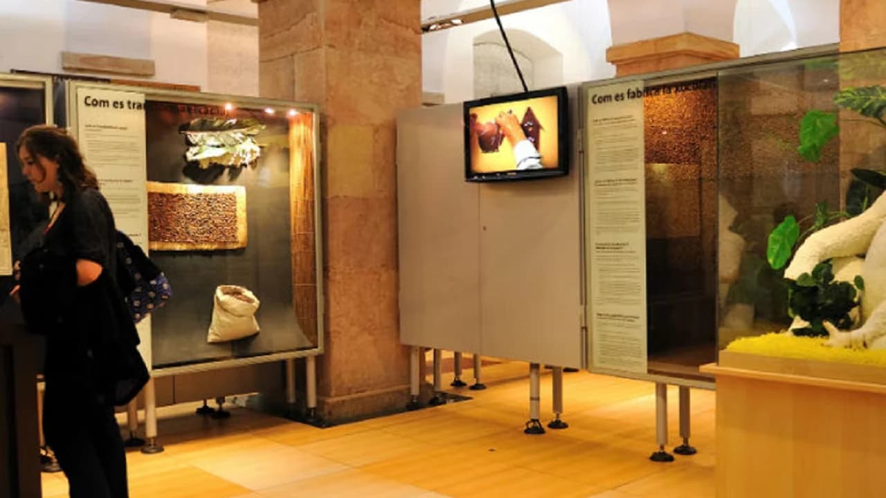 Chocolate Museum (Museu de la Xocolata de Barcelona) - Photo 4