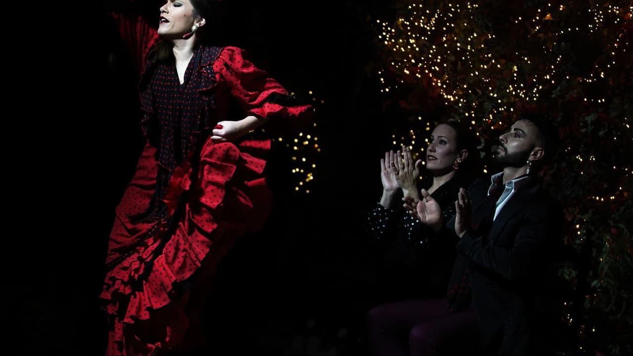 Flamenco Show at Tablao Torres Bermejas - Photo 2
