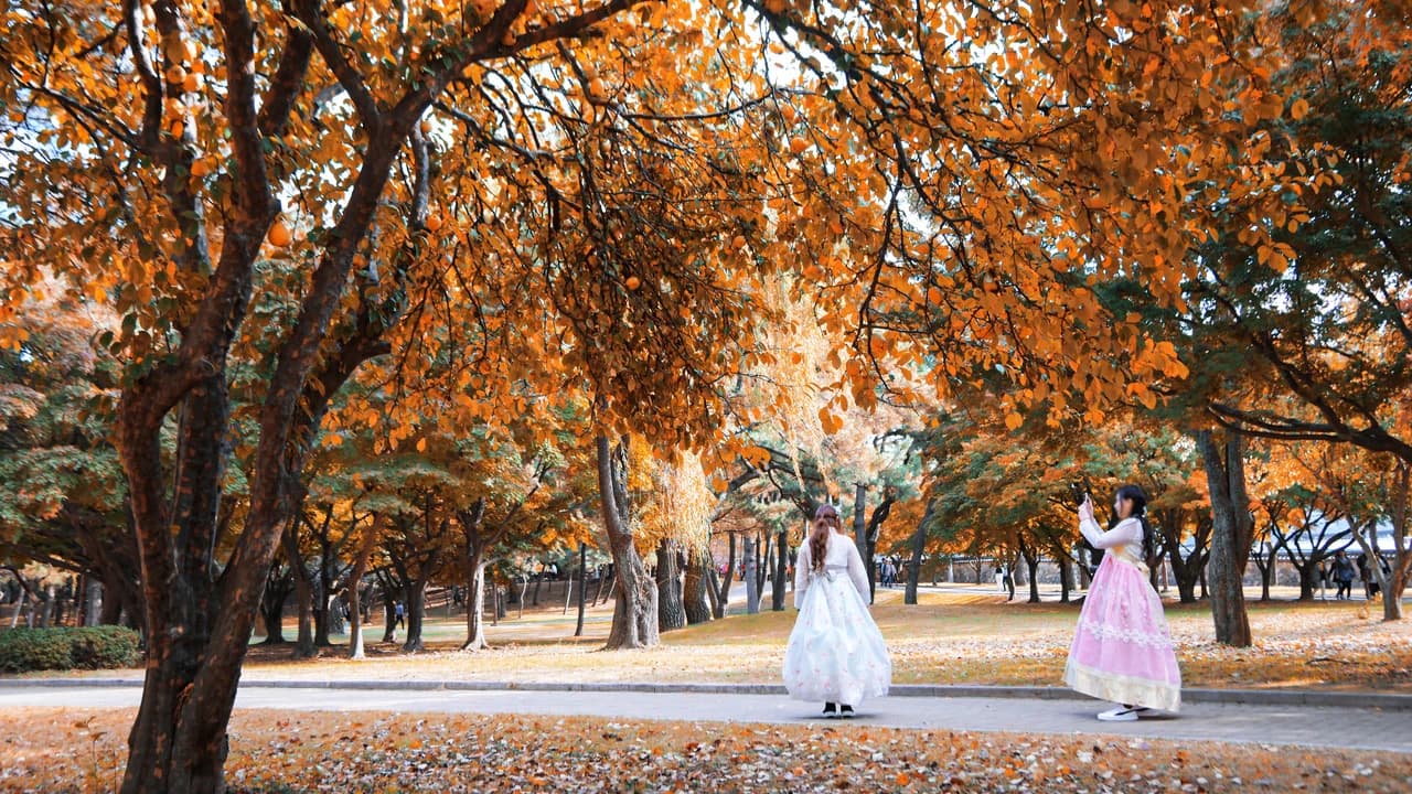 Gyeongju Autumn Foliage One Day Tour from Busan