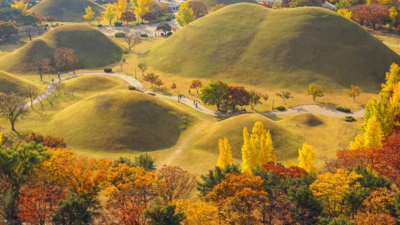 Gyeongju Autumn Foliage One Day Tour from Busan - Photo 2