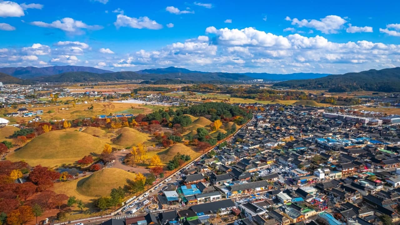 Gyeongju Autumn Foliage One Day Tour from Busan - image 6