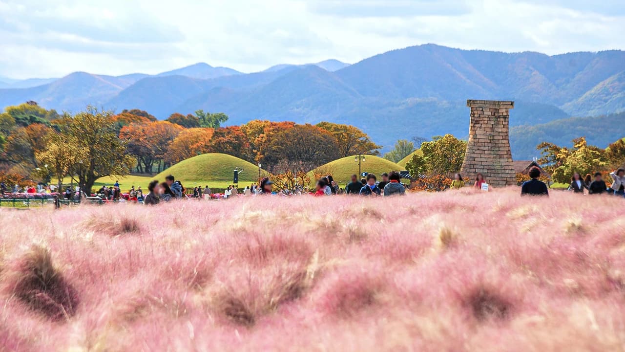 Gyeongju Autumn Foliage One Day Tour from Busan - image 8