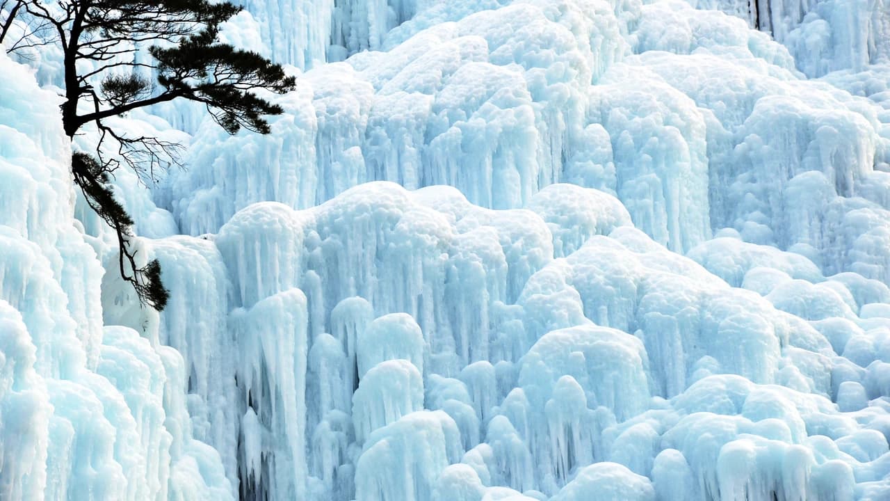 Cheongsong Ice Valley, Pohang Space Walk, and Gyeongju Full-Day Tour from Busan - image 7