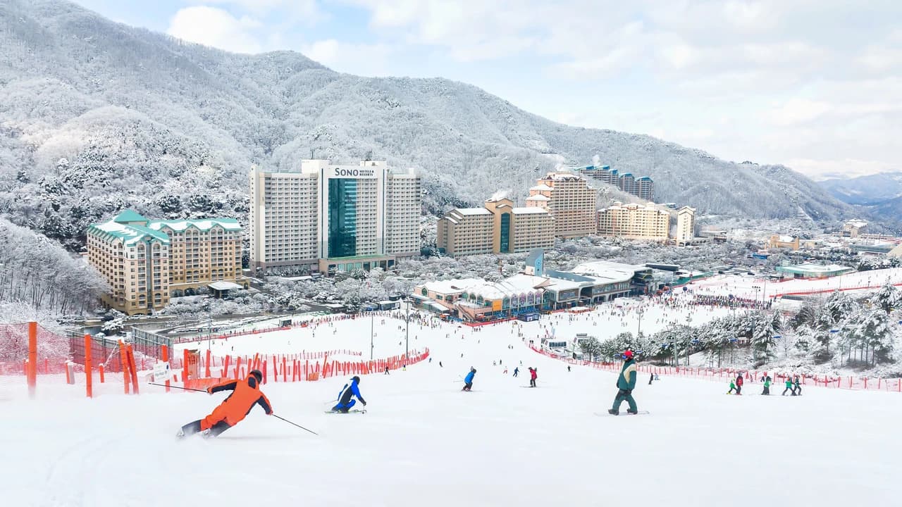Vivaldi Park Winter Ski and Eobi Ice Valley Day Tour from Seoul
