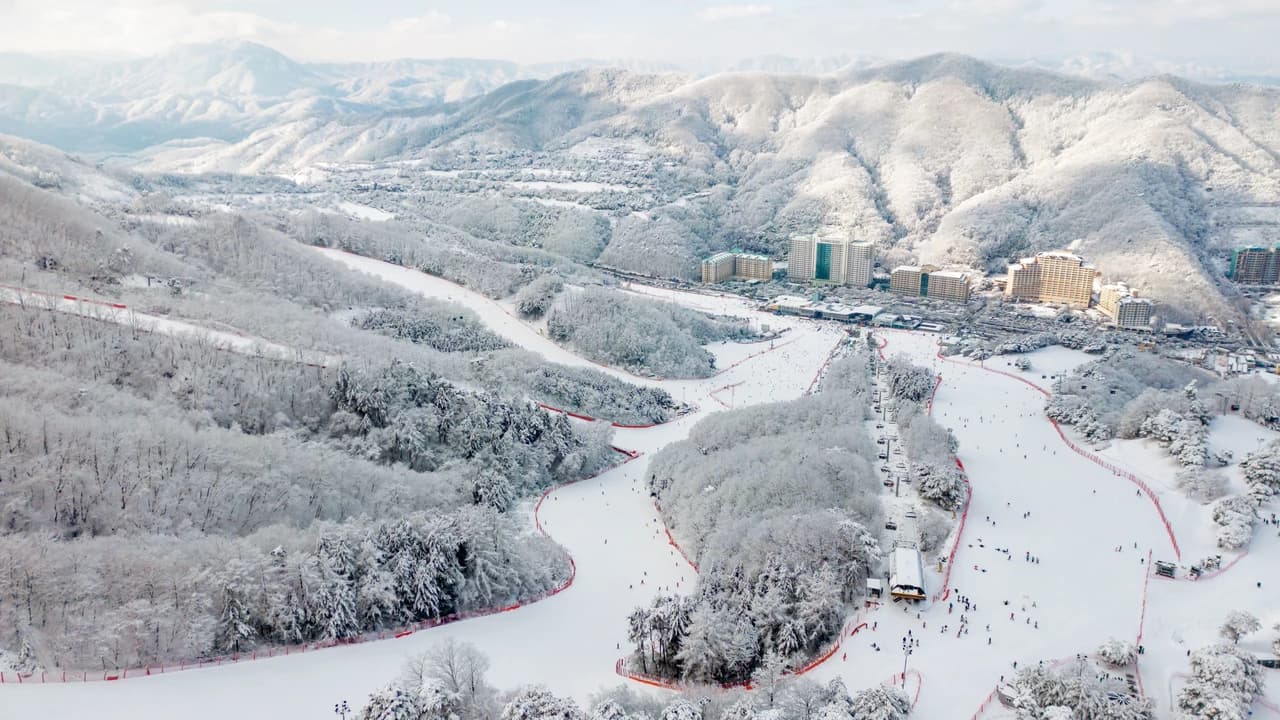 Vivaldi Park Winter Ski and Eobi Ice Valley Day Tour from Seoul - Photo 5