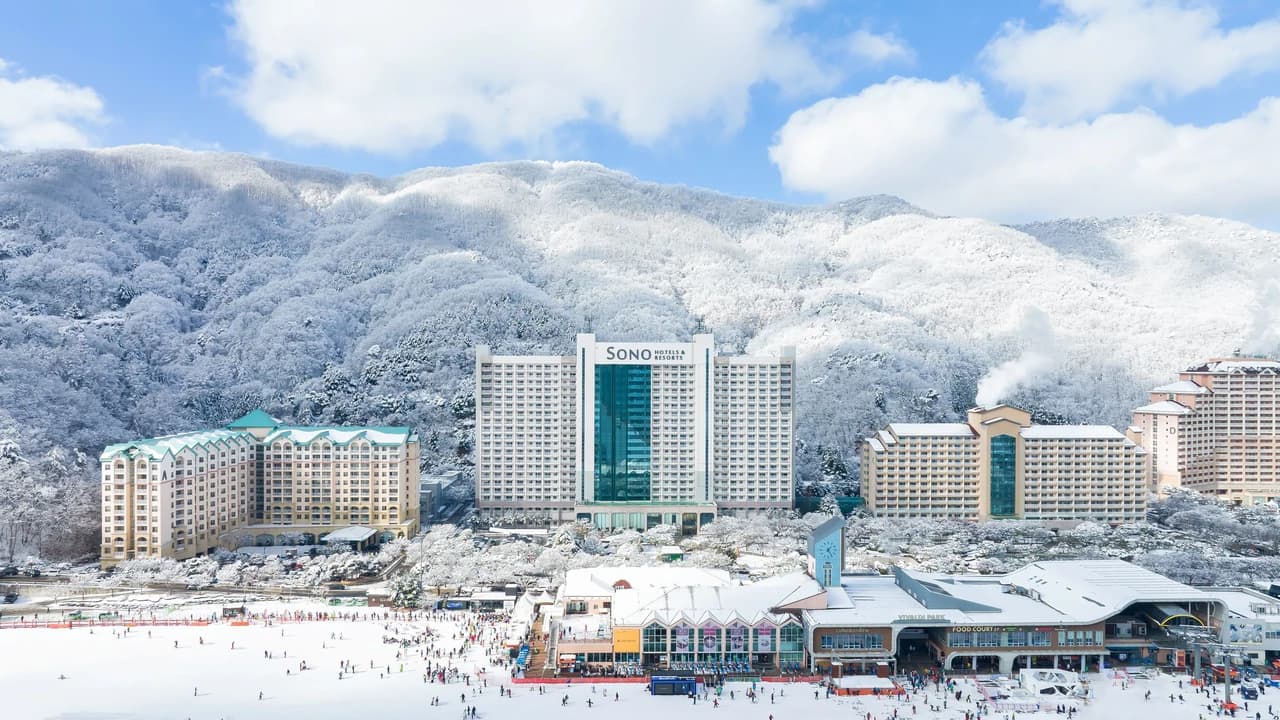 Vivaldi Park Winter Ski and Eobi Ice Valley Day Tour from Seoul - image 7