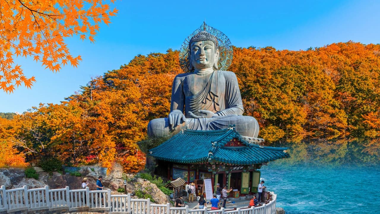 Mt. Seorak National Park Autumn Foliage One Day Tour from Seoul