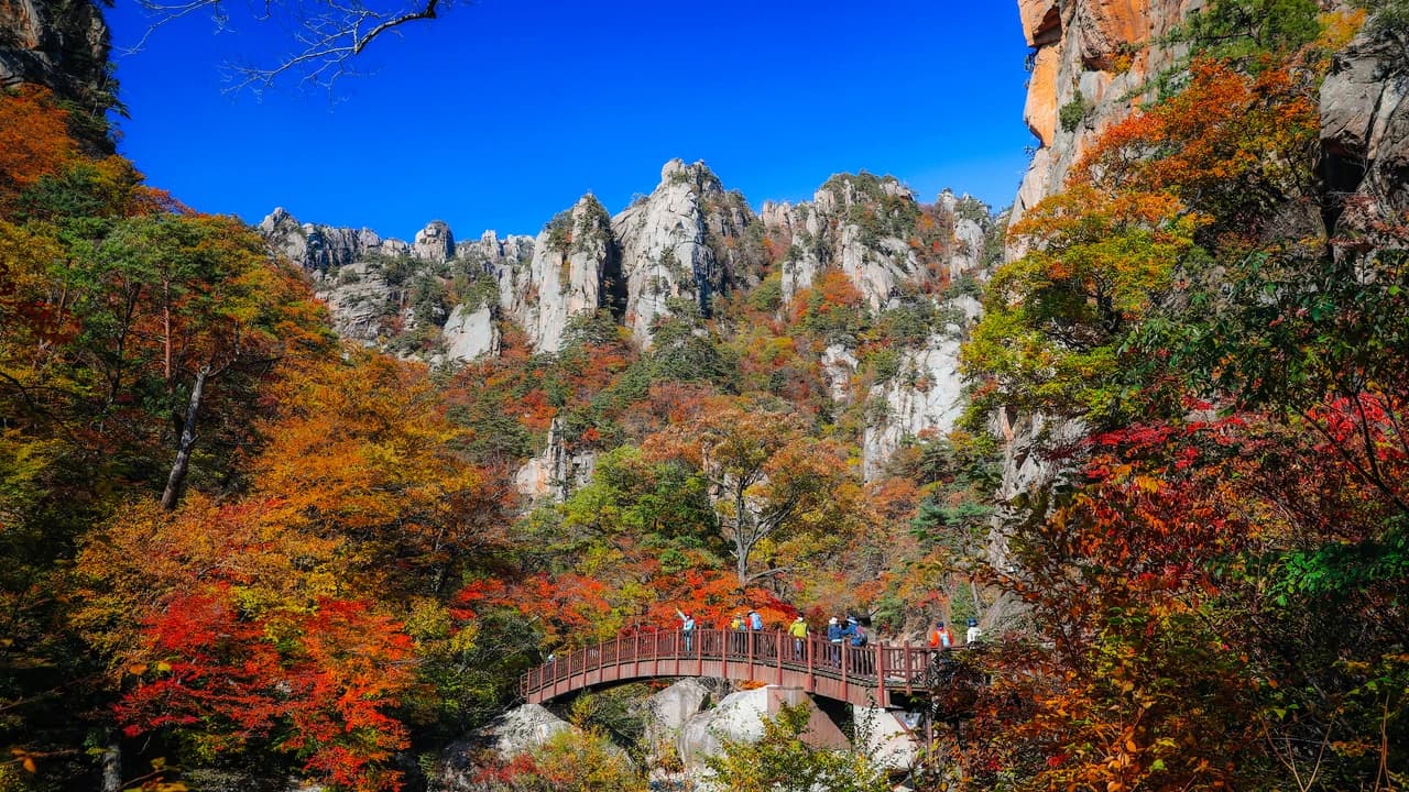 Mt. Seorak National Park Autumn Foliage One Day Tour from Seoul - Photo 4