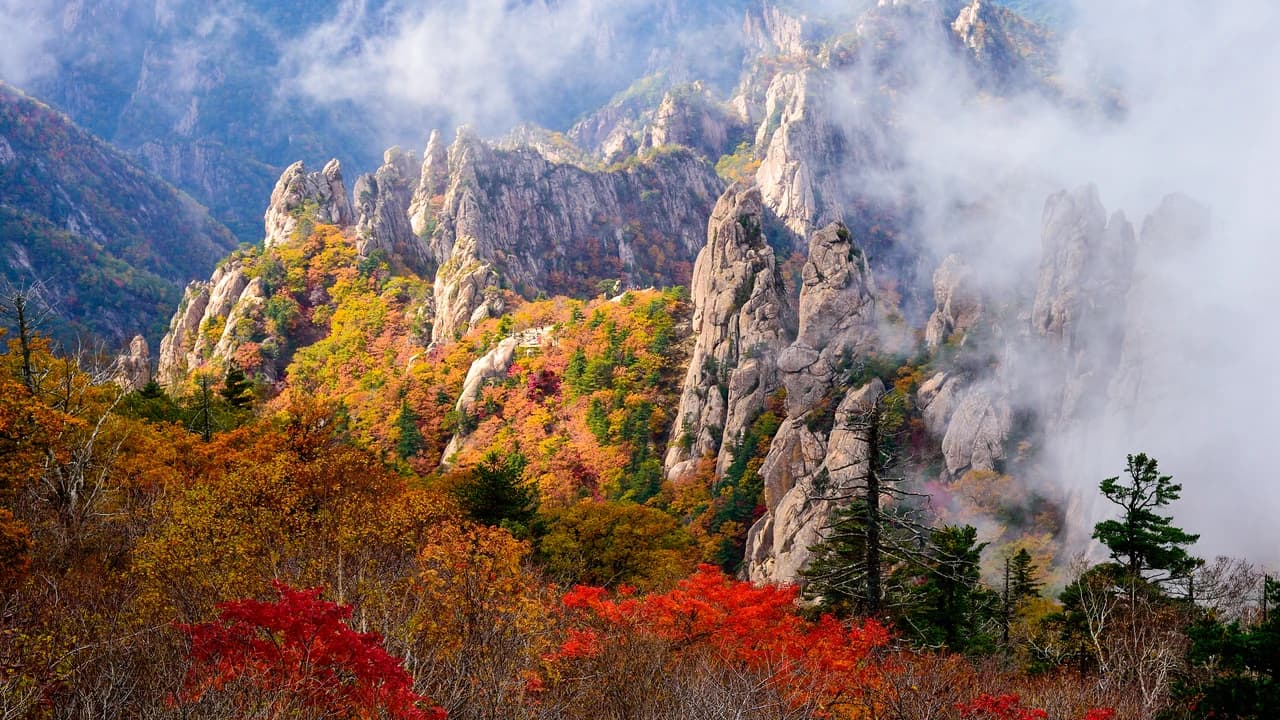 Mt. Seorak National Park Autumn Foliage One Day Tour from Seoul - Photo 5