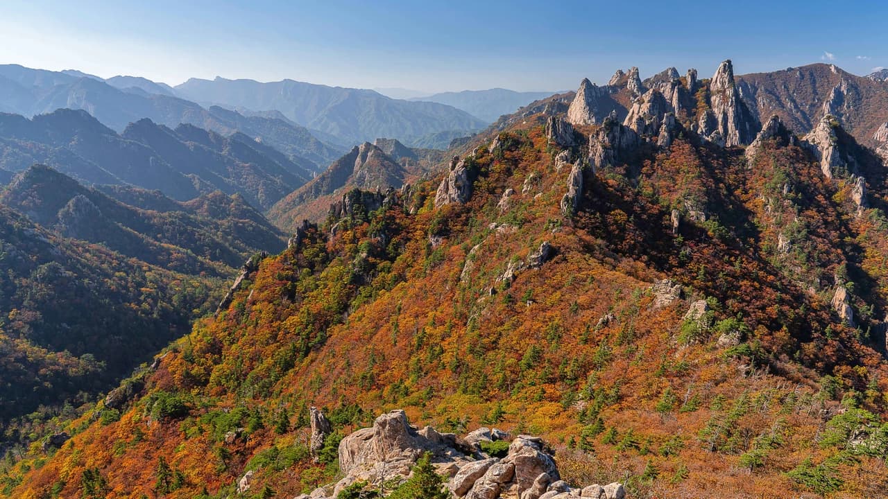 Mt. Seorak National Park Autumn Foliage One Day Tour from Seoul - image 8