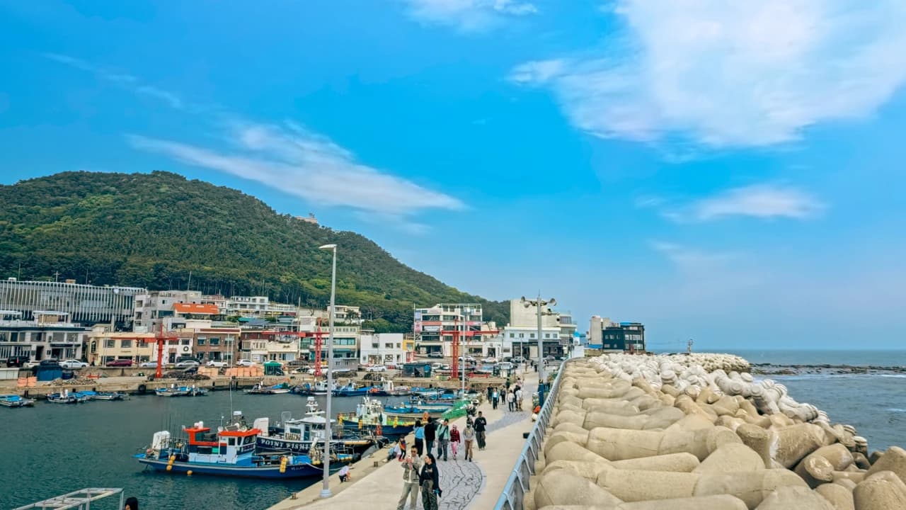 One Day Cultural Tour in Busan: Haedongyonggungsa Temple, Cheongsapo, Gamcheon Culture Village