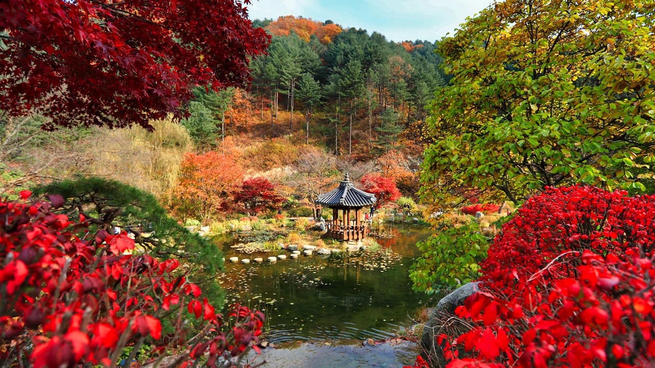 Nami Island, Mount Seorak, and Garden of Morning Calm Full-Day Tour from Seoul