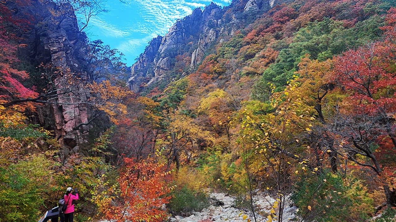 Nami Island, Mount Seorak, and Garden of Morning Calm Full-Day Tour from Seoul - Photo 5