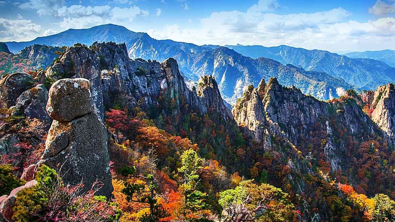 Nami Island, Mount Seorak, and Garden of Morning Calm Full-Day Tour from Seoul - image 6