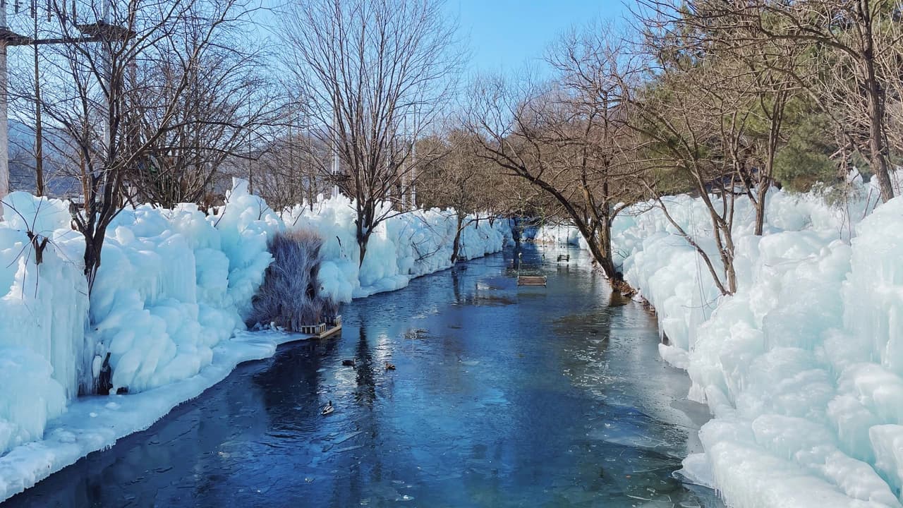 Gyeongju Kookmin Healing Park, Daegu Seomun Market, Songhae Park Ice Wall Full-Day Tour from Busan