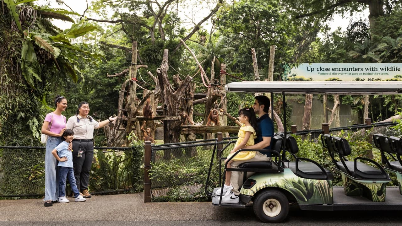 COMBO: Singapore Zoo + River Wonders Ticket