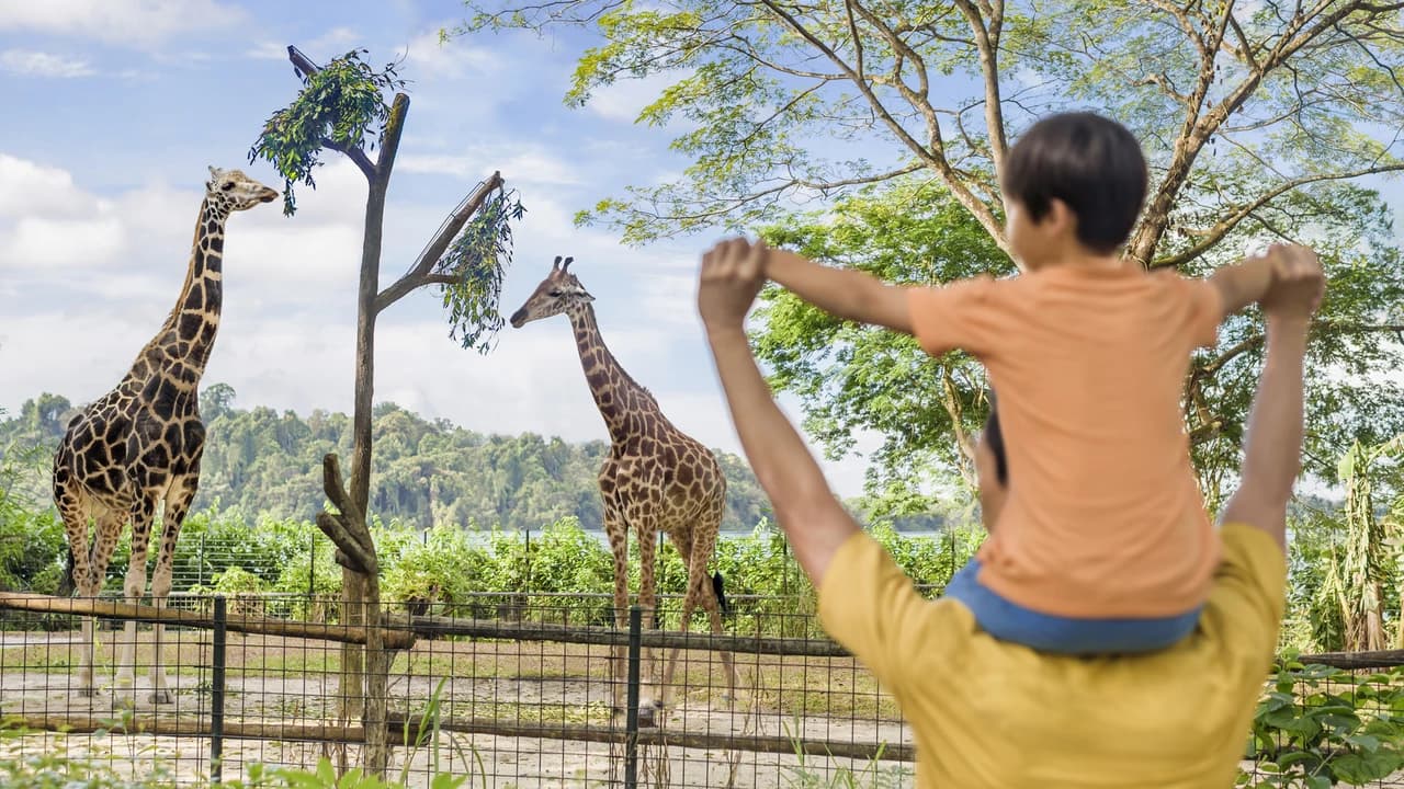 COMBO: Singapore Zoo + River Wonders Ticket - image 7