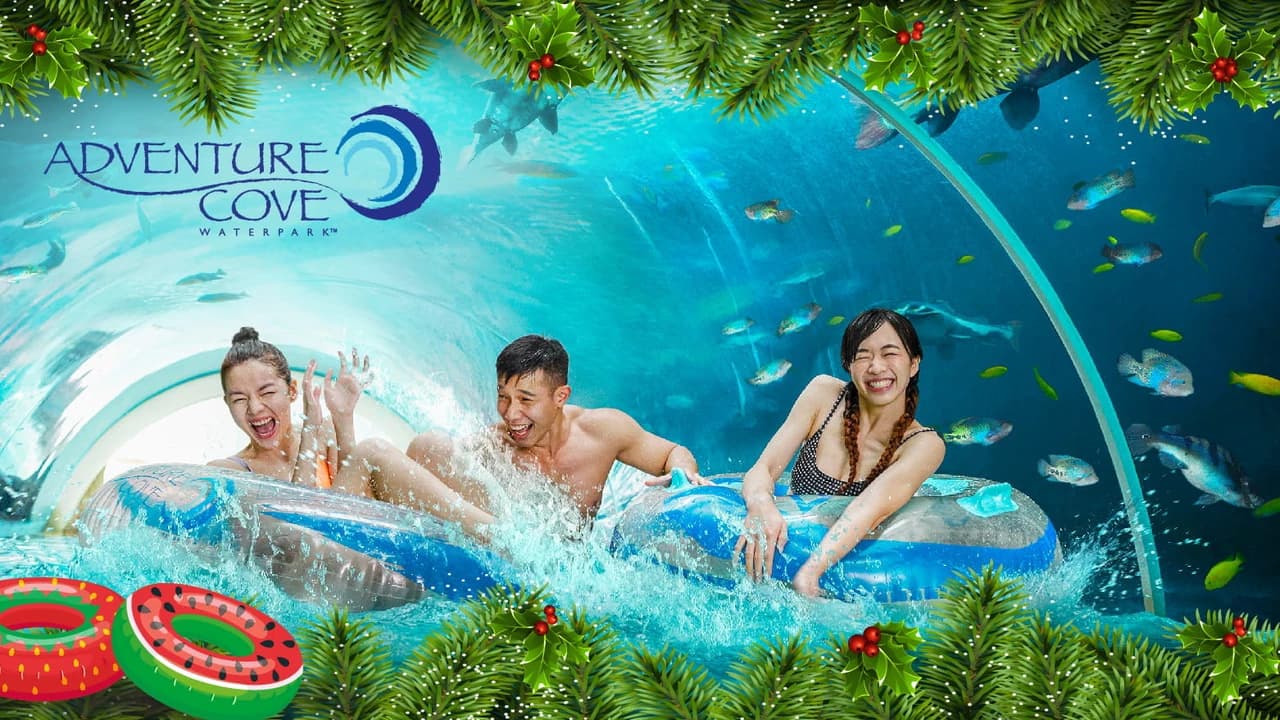 Adventure Cove Waterpark Ticket - Photo 2