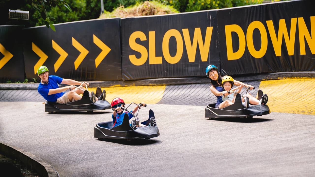 Skyline Luge Singapore Ticket - Photo 5