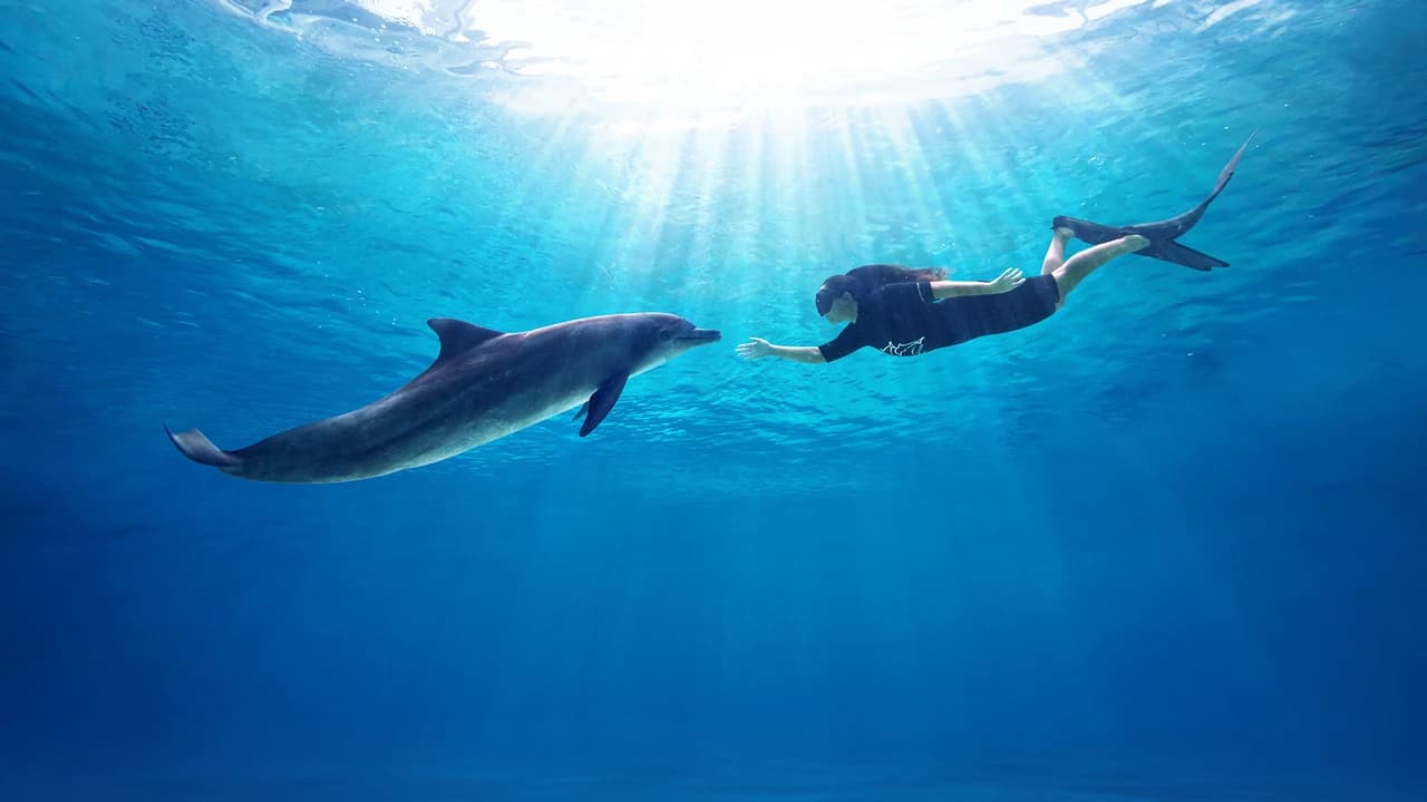 Dolphin Experiences at Marine Mammal Habitat Sentosa