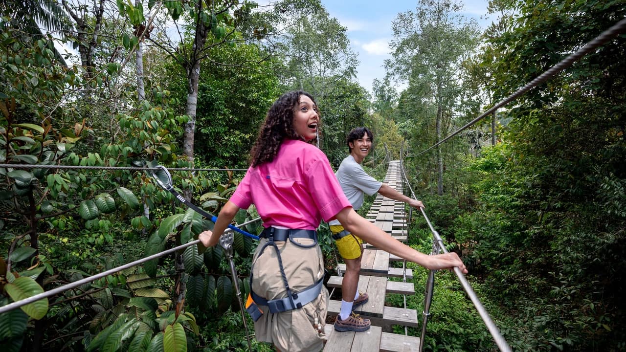 Rainforest Wild Adventure Ticket
