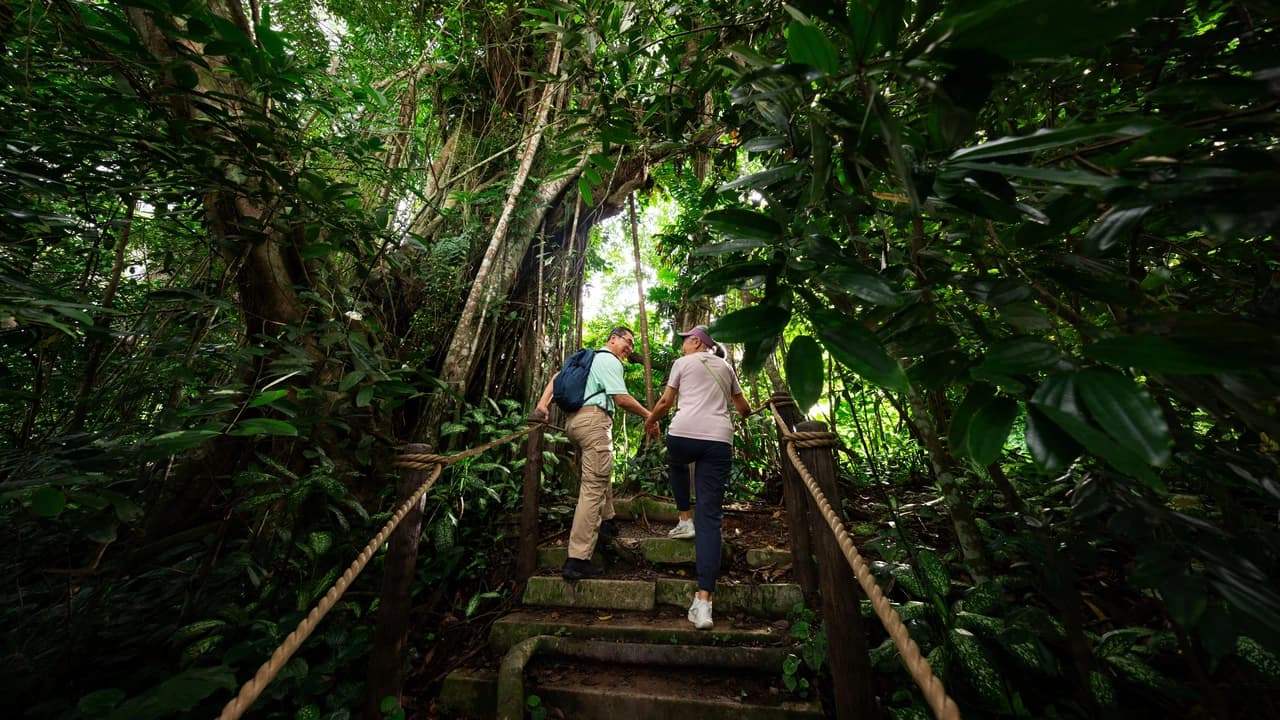Rainforest Wild Adventure Ticket - Photo 2