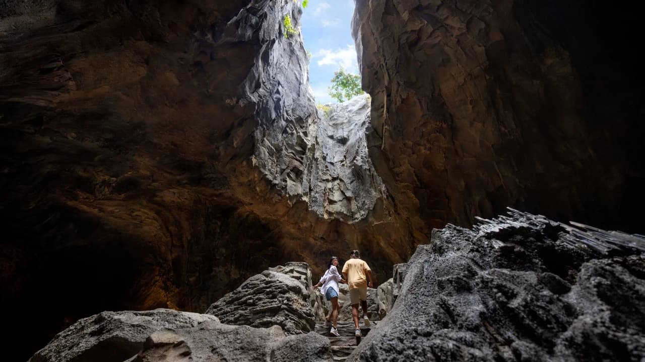 Mandai Destination Pass: Up to 2 Attractions in 1 Day - image 8