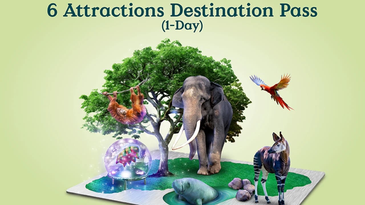 Mandai Destination Pass: Visit Up to 6 Attractions in 1 or 5 Days