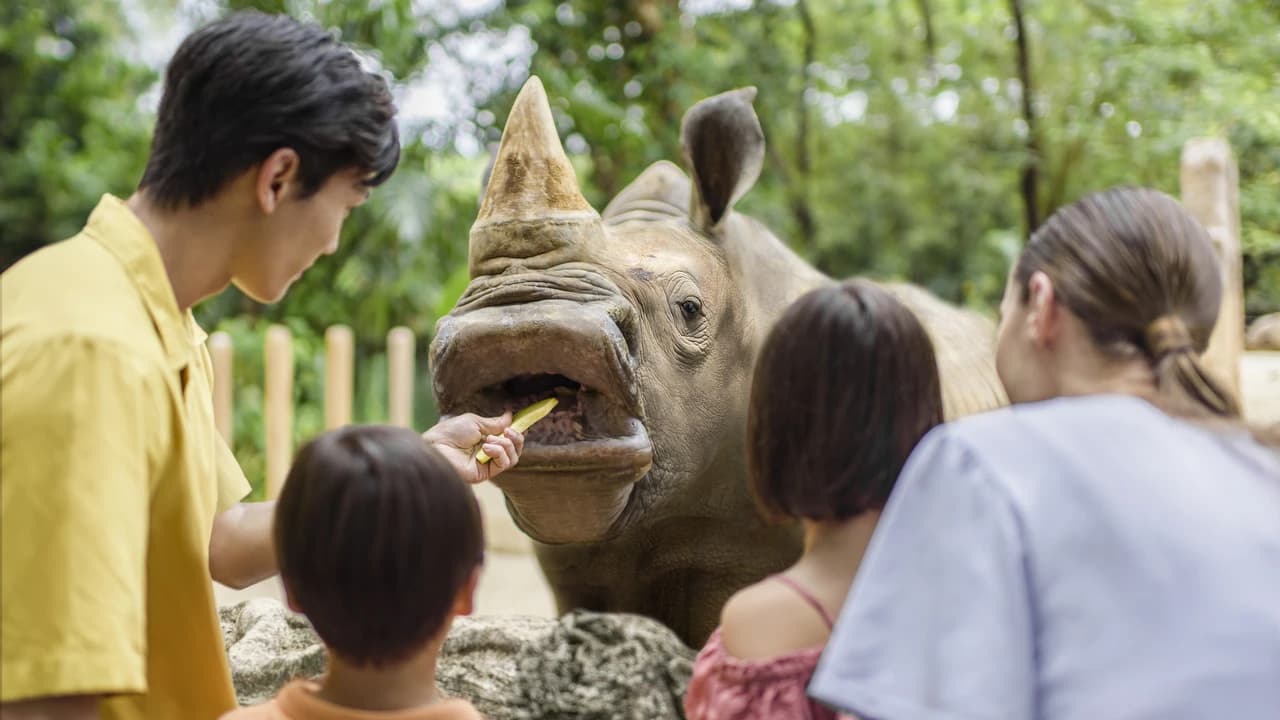 Mandai Destination Pass: Visit Up to 6 Attractions in 1 or 5 Days - image 6