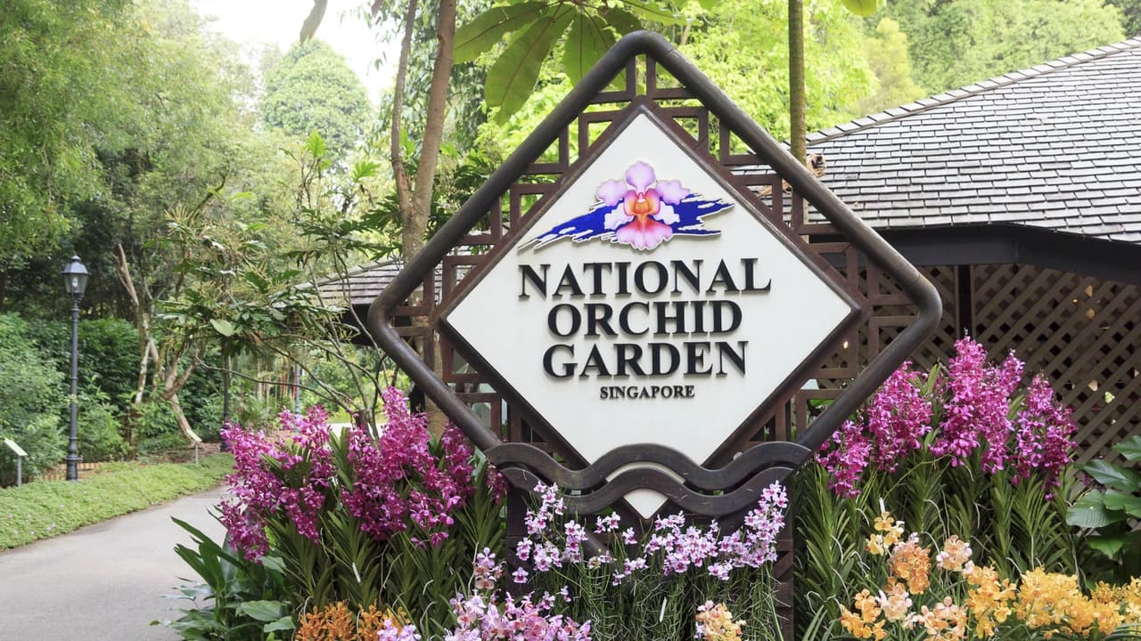 COMBO: Gardens by the Bay + National Orchid Garden Ticket - image 6