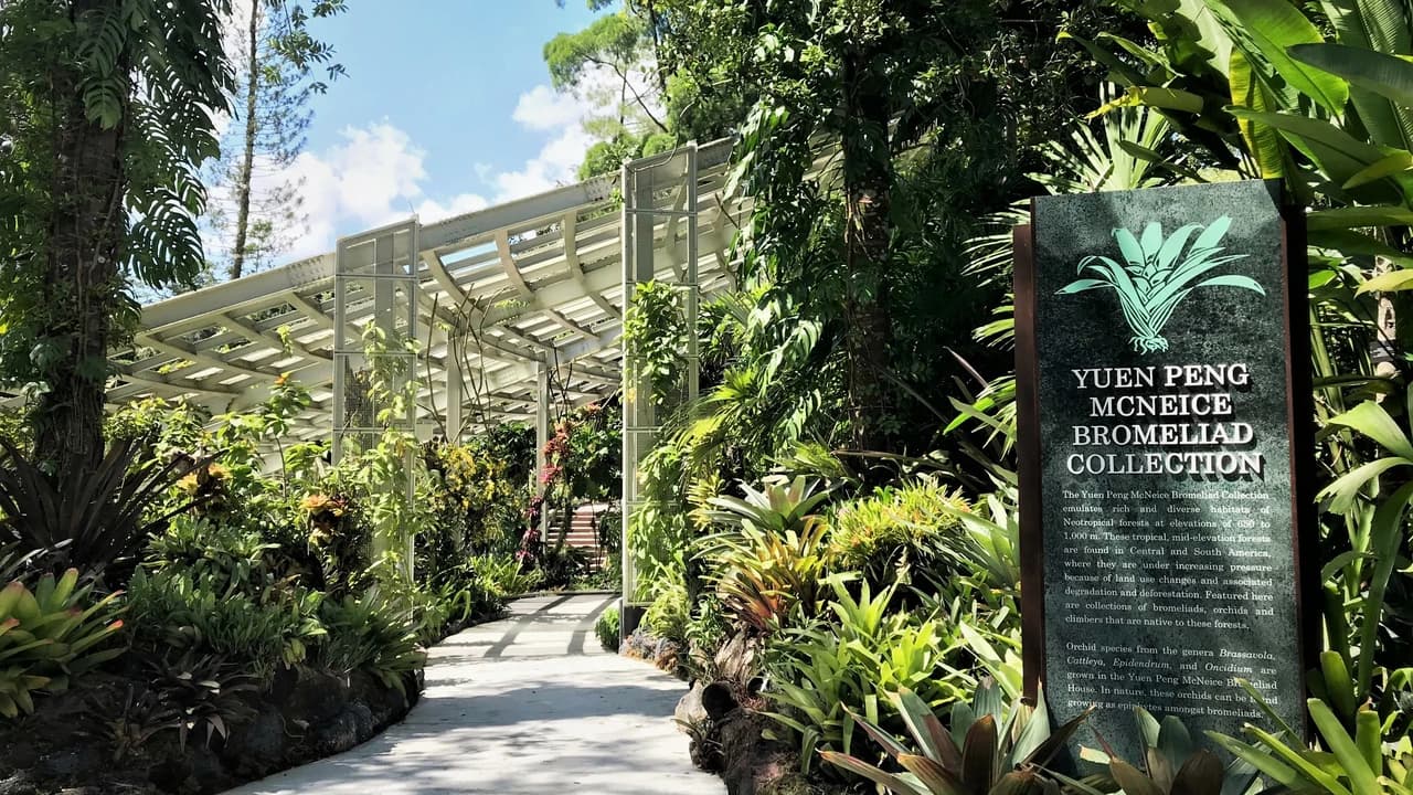 COMBO: Gardens by the Bay + National Orchid Garden Ticket - image 8