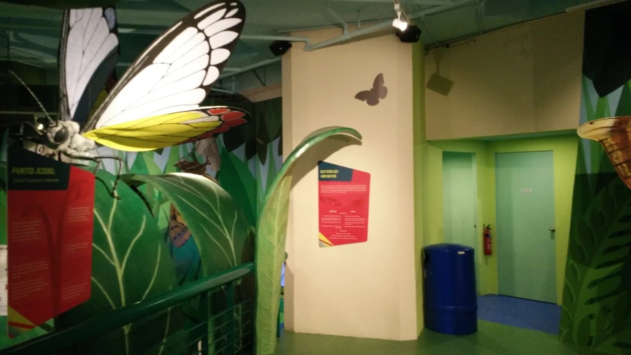 Science Centre Singapore, Omni Theatre, and KidsSTOP Singapore Ticket - image 8