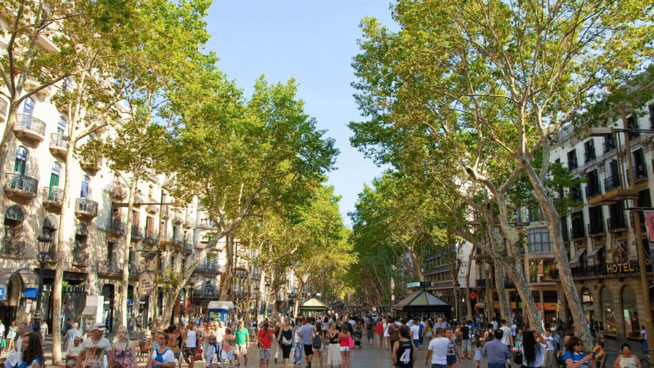 Barcelona Self-Guided Audio Tour: Sagrada Familia, Park Guell, Casa Batllo - Photo 4