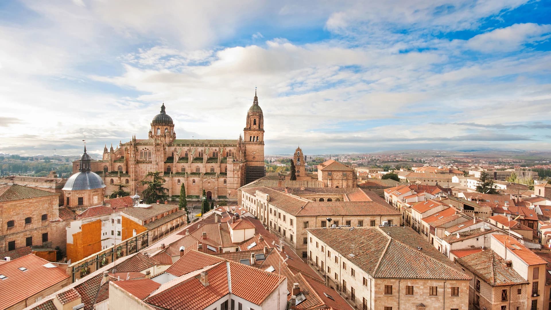 Salamanca and Avila Tour from Madrid - image 8