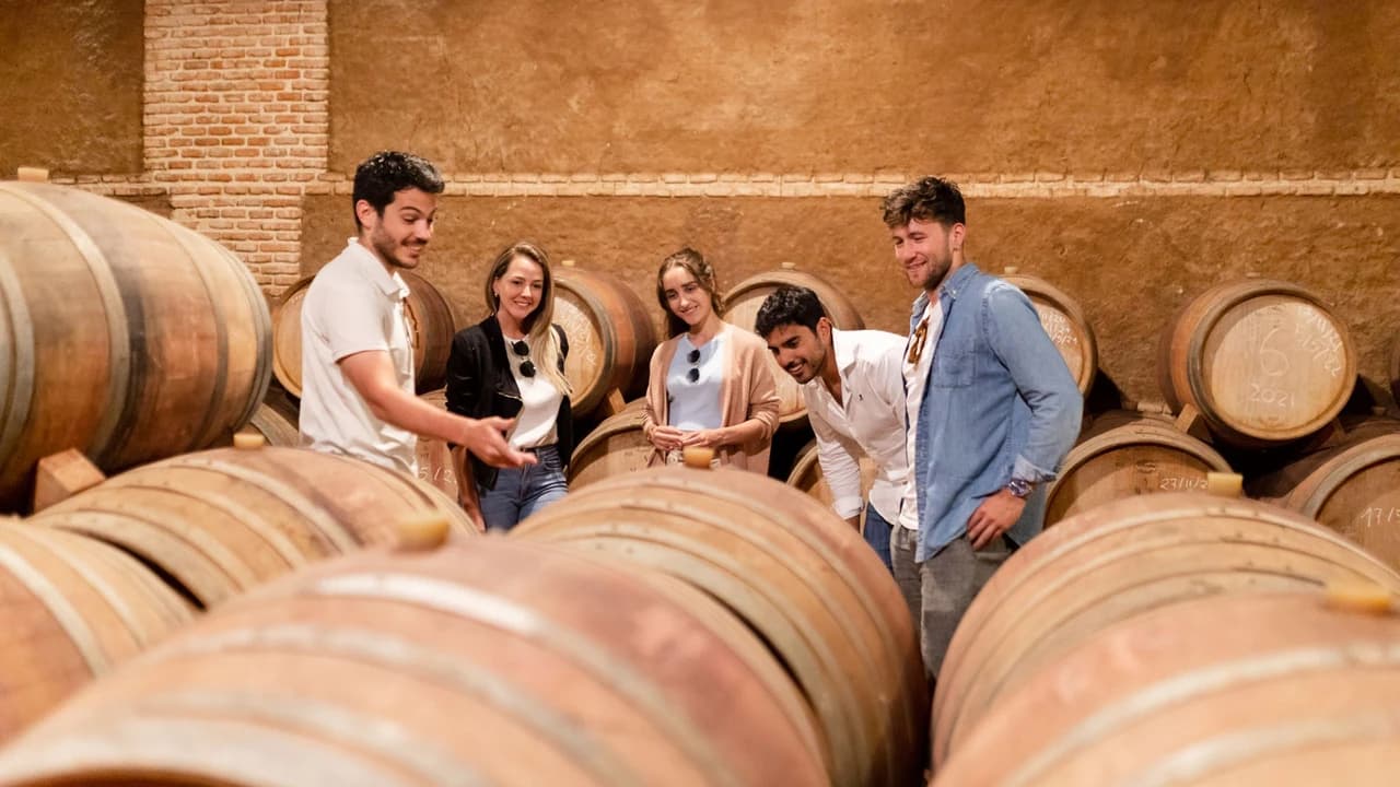 Toledo City Tour from Madrid with Wine Tasting Experience - image 7