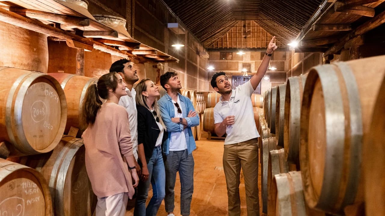 Toledo City Tour from Madrid with Wine Tasting Experience - image 8