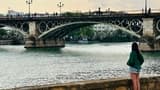 Seville Highlights Tour: Royal Alcazar of Seville, Triana Bridge, Flamenco Show - image 8
