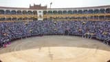 Las Ventas Bullring and Museum - image 6