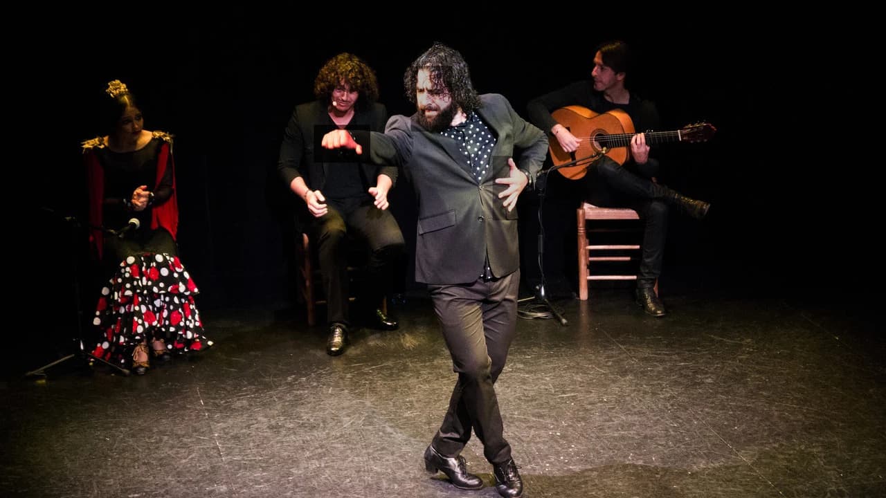 Flamenco Show at Triana Theater - Photo 2