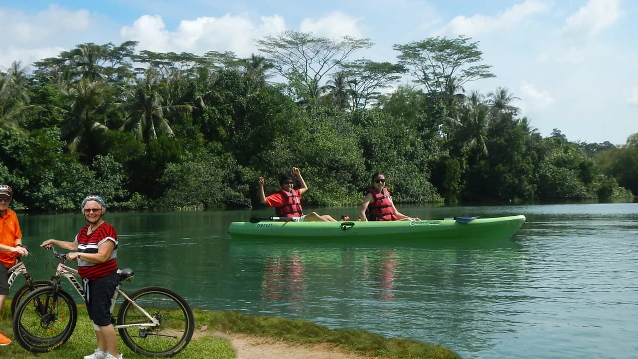 Pulau Ubin Kayaking