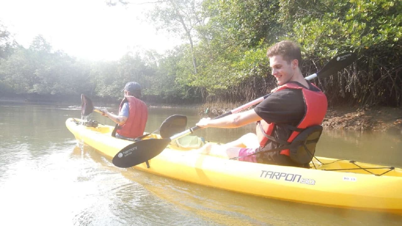 Pulau Ubin Kayaking - Photo 2