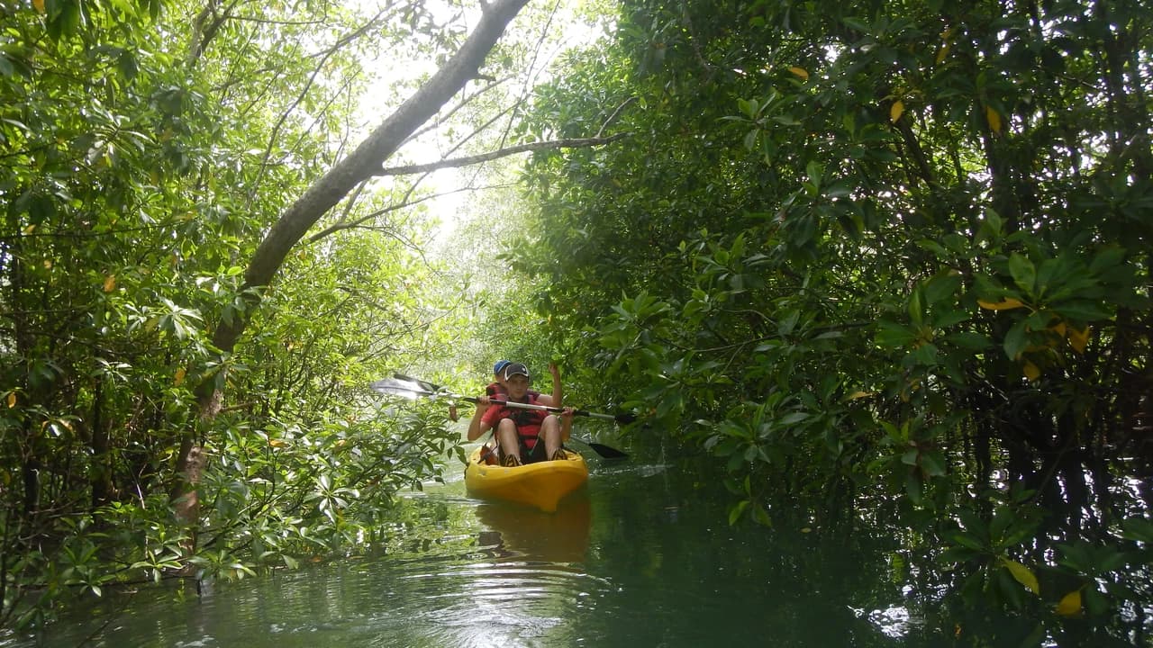 Pulau Ubin Kayaking - Photo 4