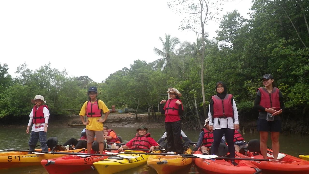 Pulau Ubin Kayaking - image 7