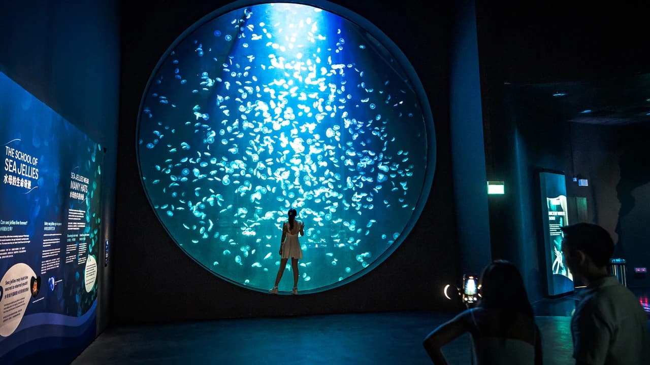COMBO: Singapore Oceanarium + Gardens by the Bay Ticket