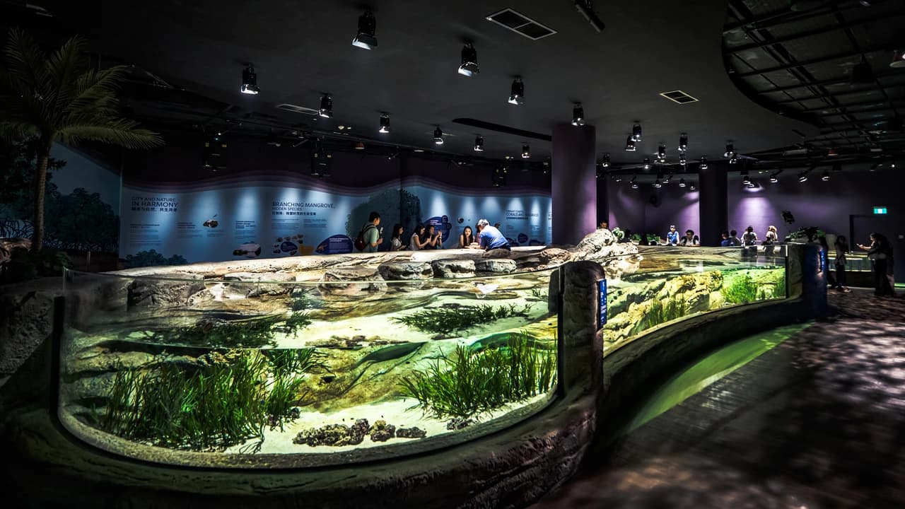COMBO: Singapore Oceanarium + Gardens by the Bay Ticket - Photo 3