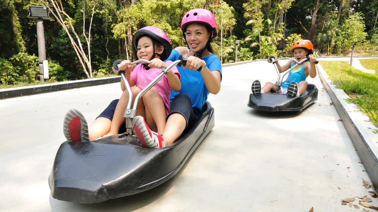 COMBO: Madame Tussauds Singapore + Skyline Luge Singapore Ticket - Photo 2