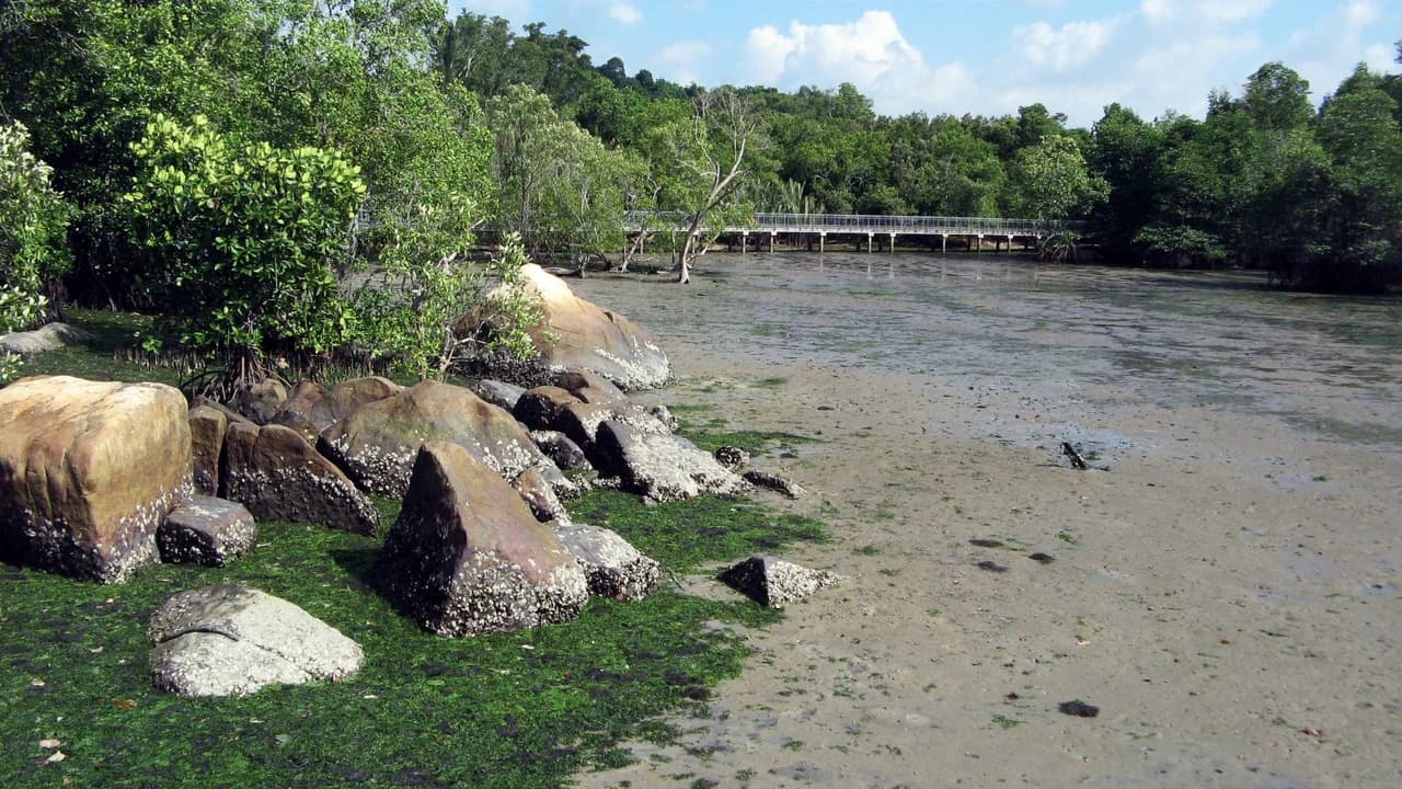 Pulau Ubin Cycling Tour - Photo 5